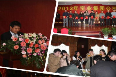 宝业（集团）公司隆重举行2013新春团拜会