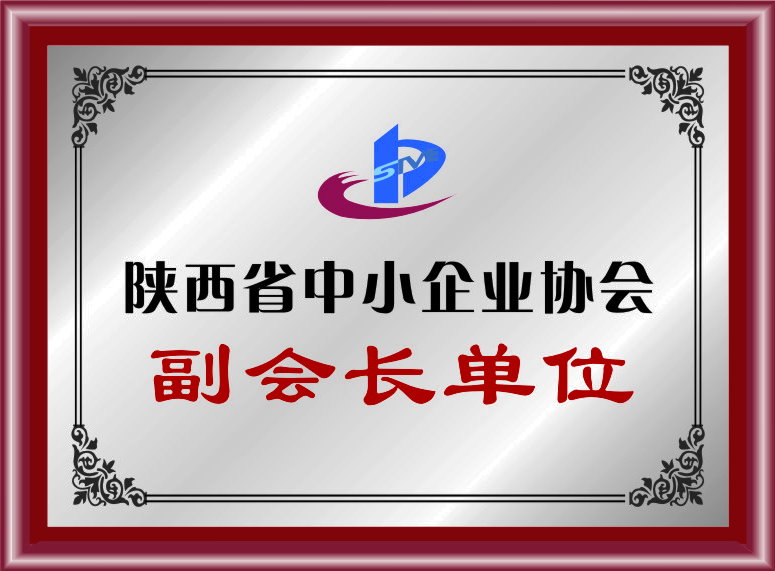 陕西省中小企业协会副会长单位